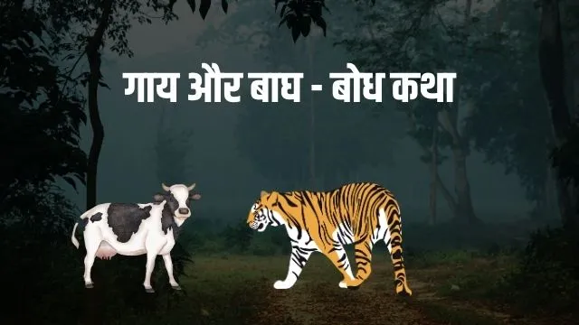 The Cow and the Tiger